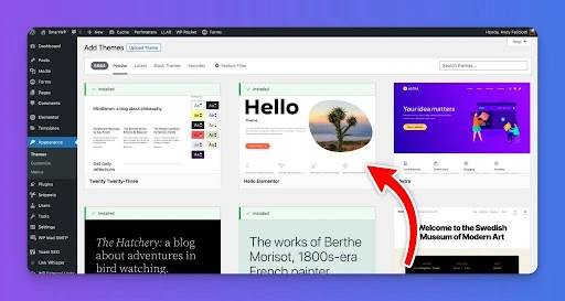 wp appearance dashboard